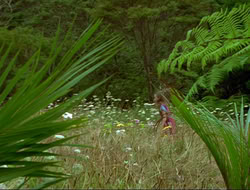 extant_HTLJ_4x17-OneFowlDay_1107