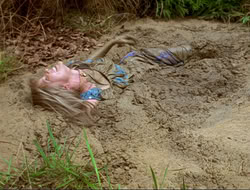 extant_HTLJ_4x17-OneFowlDay_1550