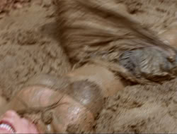 extant_HTLJ_4x17-OneFowlDay_1558