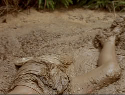 extant_HTLJ_4x17-OneFowlDay_1561
