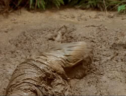 extant_HTLJ_4x17-OneFowlDay_1562
