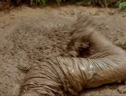 extant_HTLJ_4x17-OneFowlDay_1563