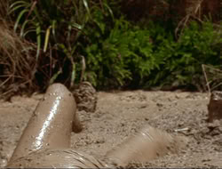 extant_HTLJ_4x17-OneFowlDay_1616