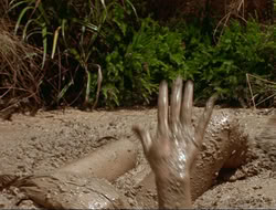extant_HTLJ_4x17-OneFowlDay_1617