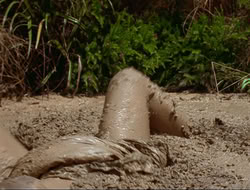 extant_HTLJ_4x17-OneFowlDay_1619
