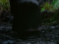 extant_HTLJ_4x17-OneFowlDay_1873