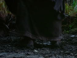 extant_HTLJ_4x17-OneFowlDay_1876
