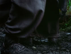 extant_HTLJ_4x17-OneFowlDay_1877