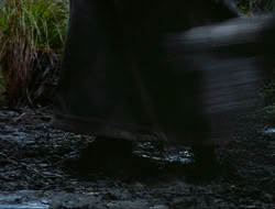 extant_HTLJ_4x17-OneFowlDay_1878