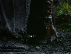 extant_HTLJ_4x17-OneFowlDay_1881