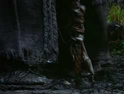 extant_HTLJ_4x17-OneFowlDay_1882