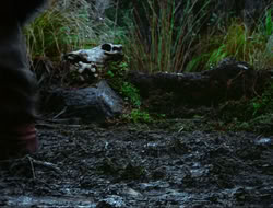 extant_HTLJ_4x17-OneFowlDay_1885