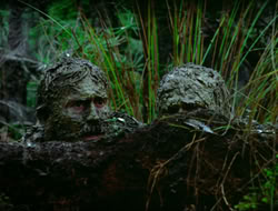 extant_HTLJ_4x17-OneFowlDay_1890