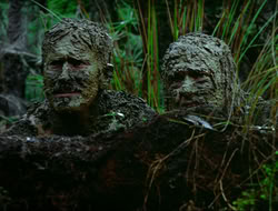 extant_HTLJ_4x17-OneFowlDay_1898
