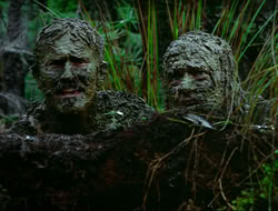extant_HTLJ_4x17-OneFowlDay_1899