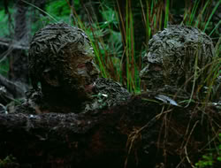 extant_HTLJ_4x17-OneFowlDay_1906