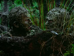 extant_HTLJ_4x17-OneFowlDay_1909