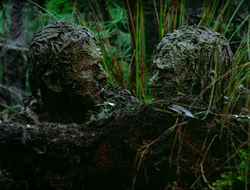 extant_HTLJ_4x17-OneFowlDay_1910