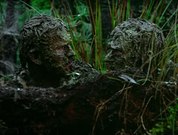 extant_HTLJ_4x17-OneFowlDay_1911