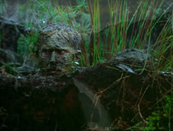 extant_HTLJ_4x17-OneFowlDay_1917