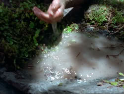 extant_HTLJ_4x17-OneFowlDay_1930