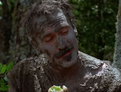extant_HTLJ_4x17-OneFowlDay_1977
