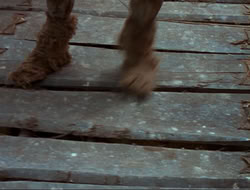 extant_HTLJ_4x17-OneFowlDay_2048