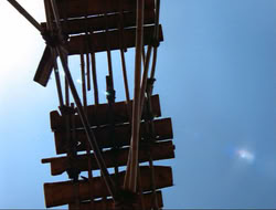 extant_HTLJ_4x17-OneFowlDay_2058