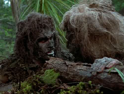 extant_HTLJ_4x17-OneFowlDay_2496