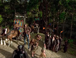 extant_HTLJ_4x17-OneFowlDay_2702