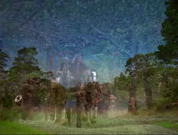 extant_HTLJ_4x17-OneFowlDay_2724