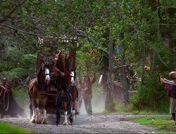 extant_HTLJ_4x17-OneFowlDay_2728