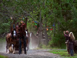extant_HTLJ_4x17-OneFowlDay_2730