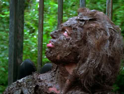 extant_HTLJ_4x17-OneFowlDay_2773
