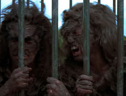 extant_HTLJ_4x17-OneFowlDay_2988