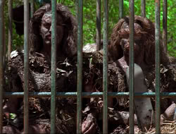 extant_HTLJ_4x17-OneFowlDay_3324