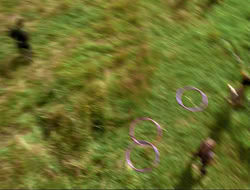 extant_HTLJ_4x17-OneFowlDay_4042