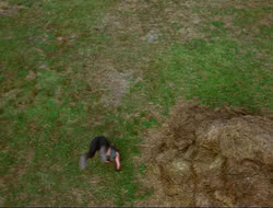 extant_HTLJ_4x17-OneFowlDay_4051
