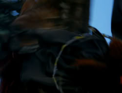 extant_HTLJ_4x17-OneFowlDay_4102