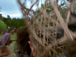 extant_HTLJ_4x17-OneFowlDay_4363