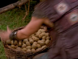 extant_HTLJ_4x17-OneFowlDay_4401