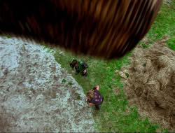 extant_HTLJ_4x17-OneFowlDay_4546