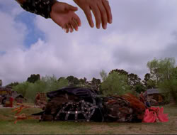 extant_HTLJ_4x17-OneFowlDay_4575