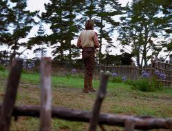 extant_HTLJ_4x17-OneFowlDay_4896