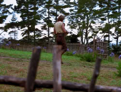 extant_HTLJ_4x17-OneFowlDay_4897