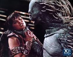 xena_mqr_2426