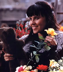 xena_mq_2039n