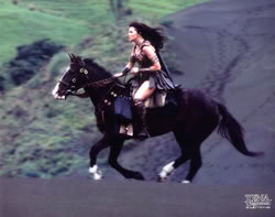 xena_mq_2064n