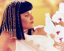 xena_mq_2065n2