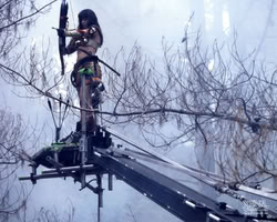 xena_mq_2119n